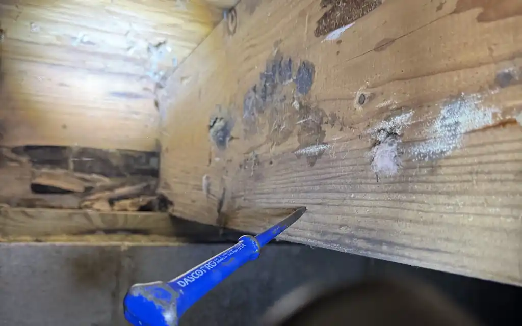 Termite Inspection & WDI Reports