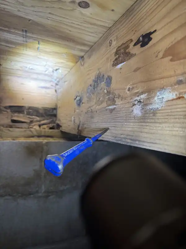 Buying or Selling a Home in Ocean or Monmouth County: What a Termite Inspection and WDI Report Cover
